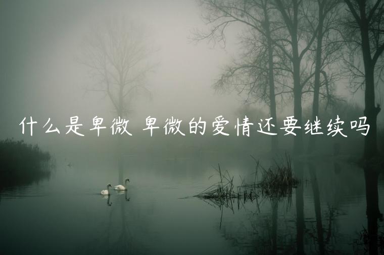 什么是卑微 卑微的爱情还要继续吗