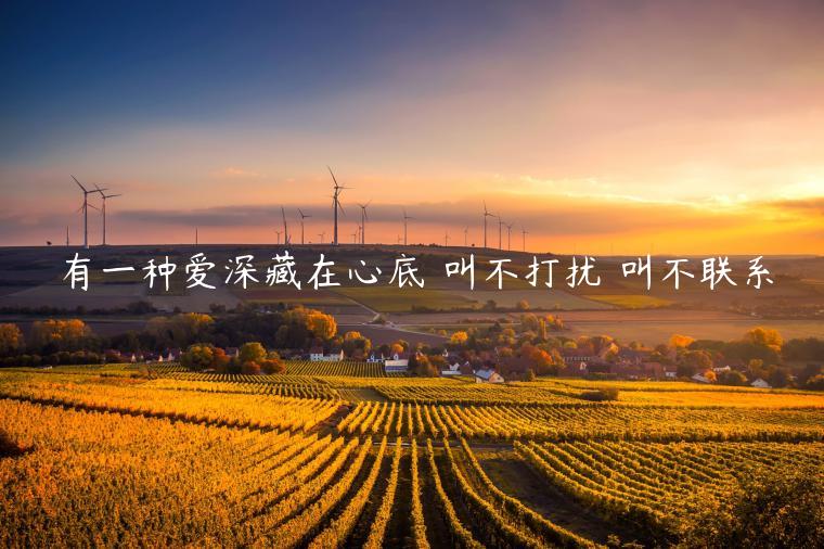 有一种爱深藏在心底 叫不打扰 叫不联系