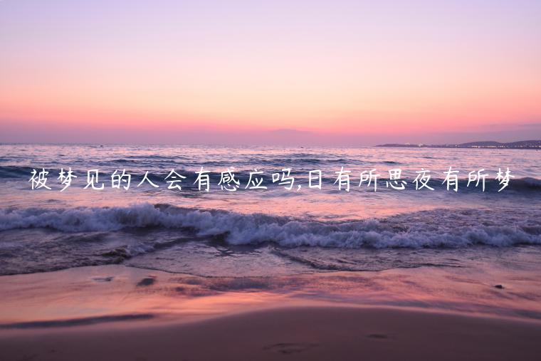 被梦见的人会有感应吗,日有所思夜有所梦