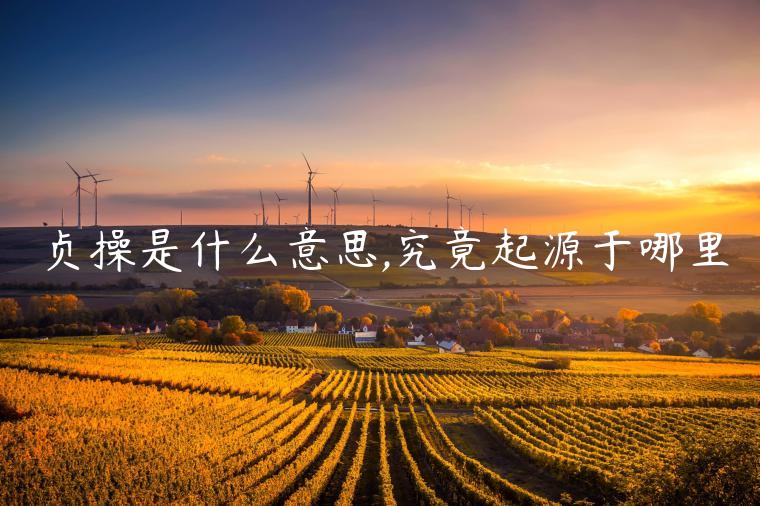 贞操是什么意思,究竟起源于哪里